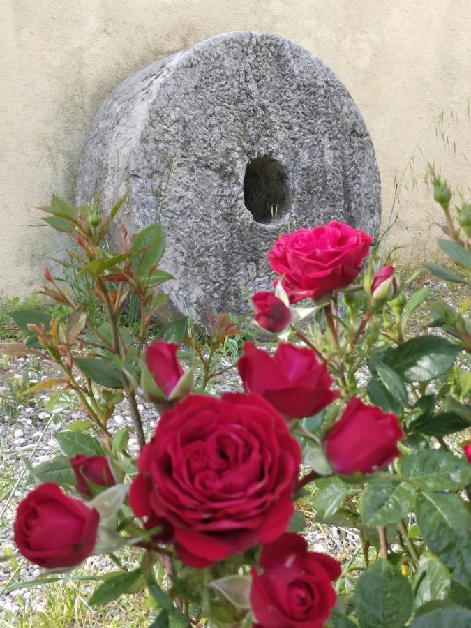 Il Giardino Di Julia B&B ตอร์โตรา ภายนอก รูปภาพ