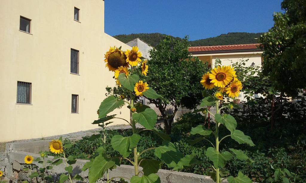 Il Giardino Di Julia B&B ตอร์โตรา ภายนอก รูปภาพ