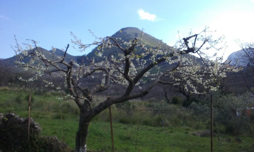 Il Giardino Di Julia B&B ตอร์โตรา ภายนอก รูปภาพ