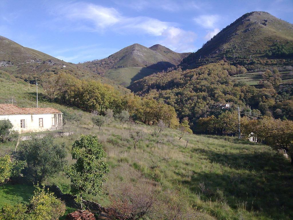 Il Giardino Di Julia B&B ตอร์โตรา ภายนอก รูปภาพ
