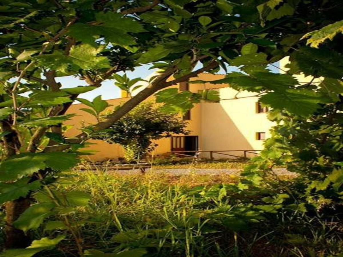 Il Giardino Di Julia B&B ตอร์โตรา ภายนอก รูปภาพ