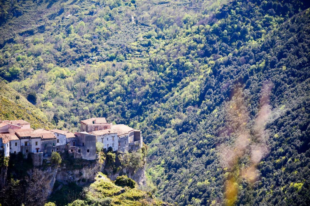 Il Giardino Di Julia B&B ตอร์โตรา ภายนอก รูปภาพ