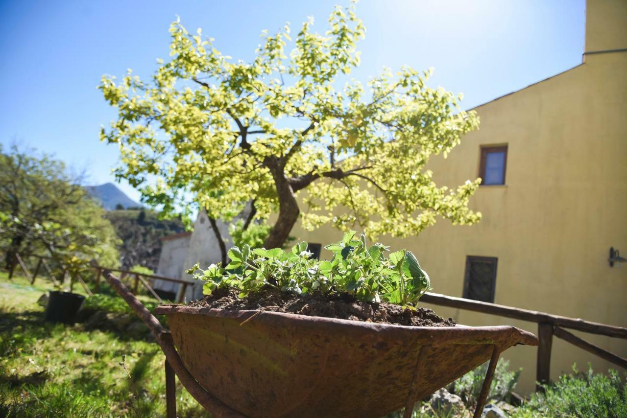 Il Giardino Di Julia B&B ตอร์โตรา ภายนอก รูปภาพ